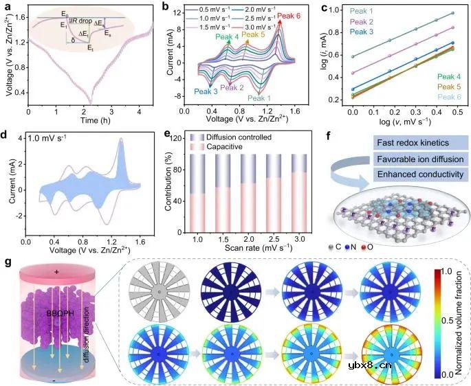 电子离域助力锌-有机电池