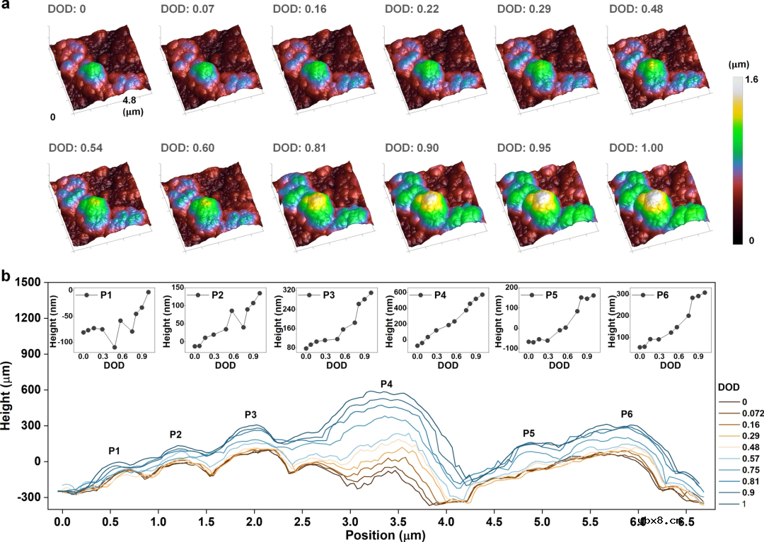 内部应力缓解促成的用于锂离子电池的高性能富硅微粒负极