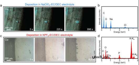 原位可视化揭示钠-钾液态合金电池中的共沉积现象