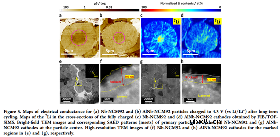 开发高性能锂离子电池富镍正极的掺杂策略