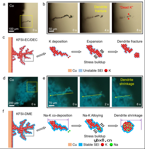 原位可视化揭示钠-钾液态合金电池中的共沉积现象