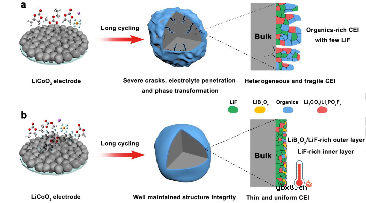 Angew CEI构建实现4.6V和70°C Li||LiCoO2电池