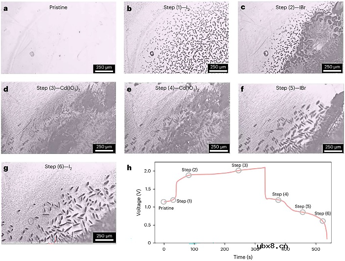 一种含有I-和Br的高浓度异卤电解质的水电池设计 一种含有I-和Br的高浓度异卤电解质的水电池设计