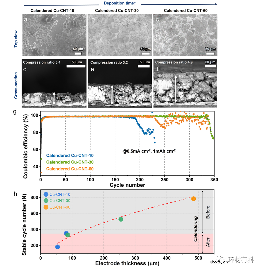 用于稳定锂金属电池阳极的3D多孔Cu复合材料