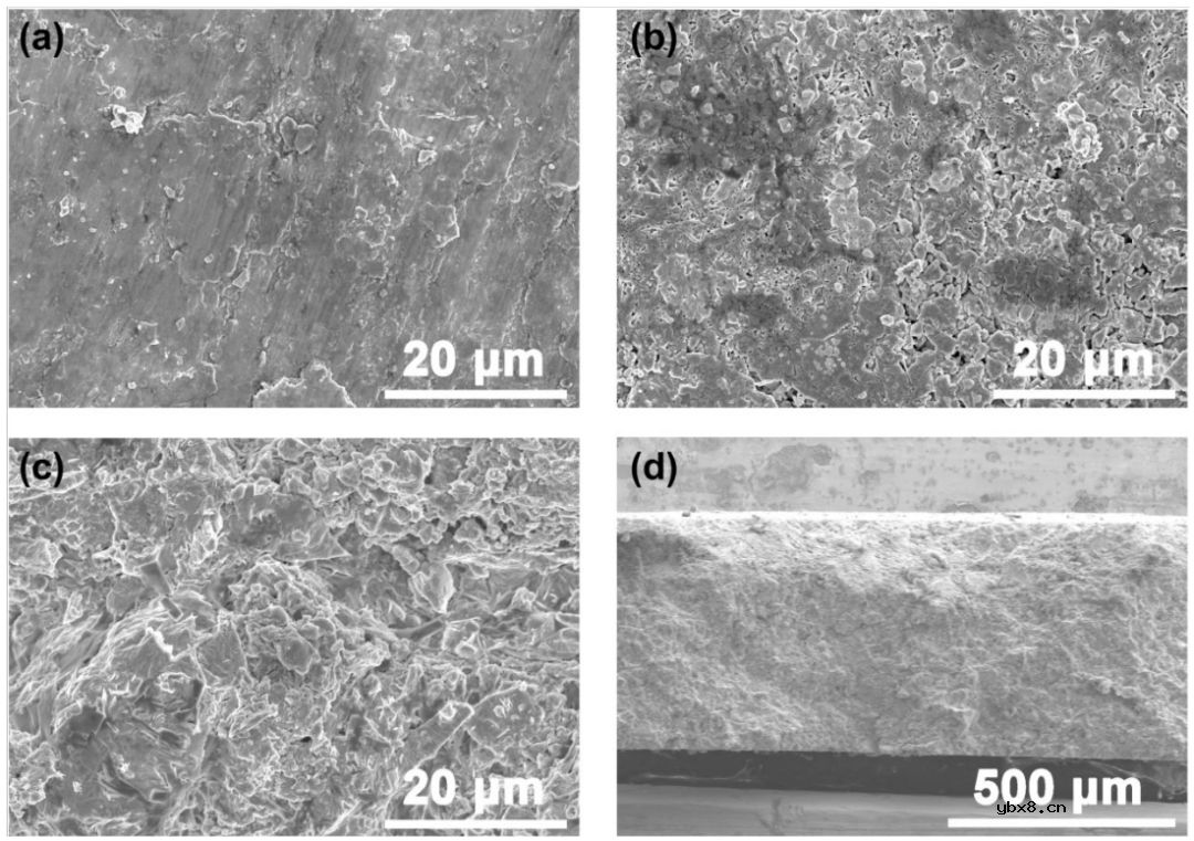 通过金属负极/LPSCl界面调控实现超稳定全固态锂金属电池