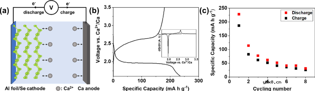 硼酸盐基可充钙硒电池研究