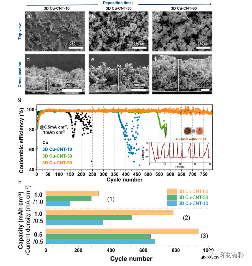 用于稳定锂金属电池阳极的3D多孔Cu复合材料