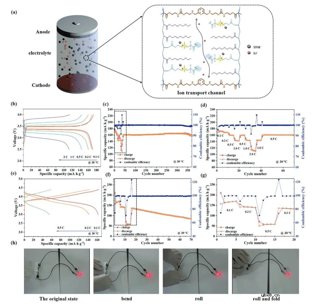 锂金属电池正负离子协同调节功能的两性离子聚合物电解质的原位构建