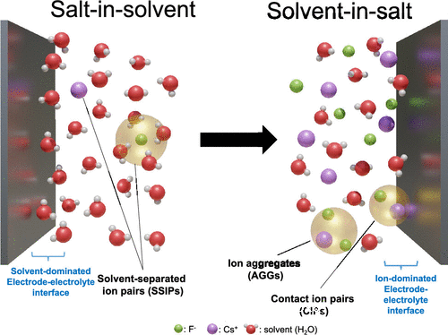 用于氟离子电池的溶剂型盐电解质