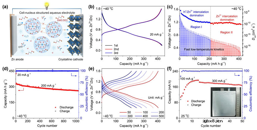 细胞核结构电解液助力低温水系锌电池