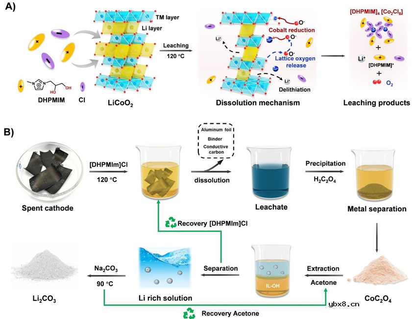 离子液体驱动正极还原法实现锂离子电池的绿色可持续回收