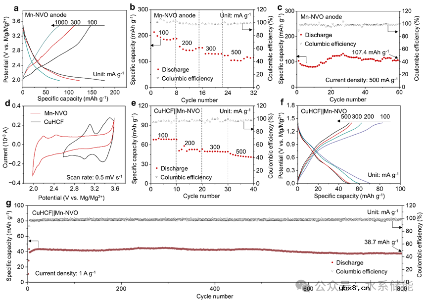 三元深共晶电解液诱发形成具有呼吸效应的固体电解质界面用于长寿命水系镁离子电池