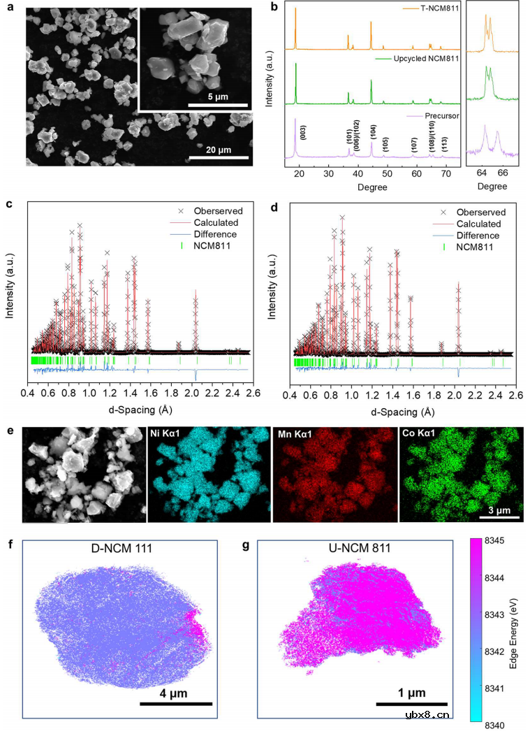 贫前驱体将废LiNi0.33Co0.33Mn0.33O2转变为单晶富镍正极研究