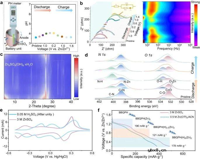 电子离域助力锌-有机电池