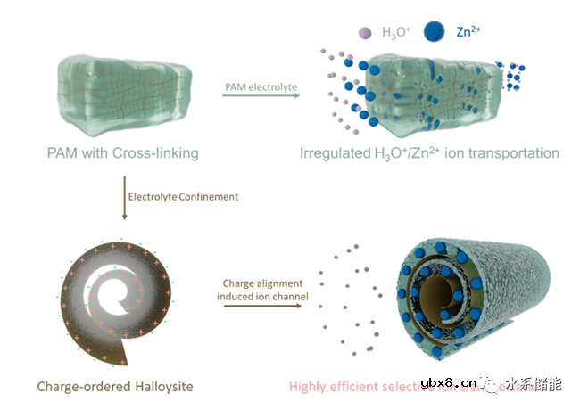 构建选择性离子通道实现稳定的准固态锌离子电池