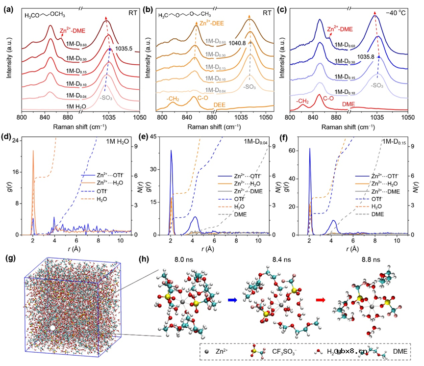 细胞核结构电解液助力低温水系锌电池