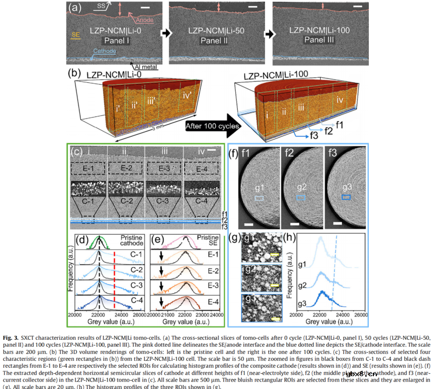 同步辐射CT技术揭示正负极串扰失效机理：不均匀的离子通量