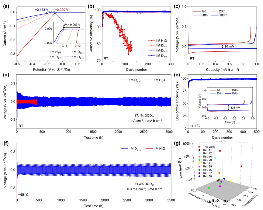 细胞核结构电解液助力低温水系锌电池