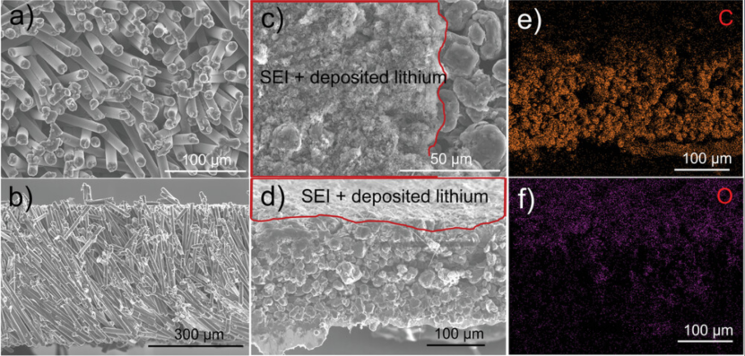 用于高面积容量电池的多功能碳纤维