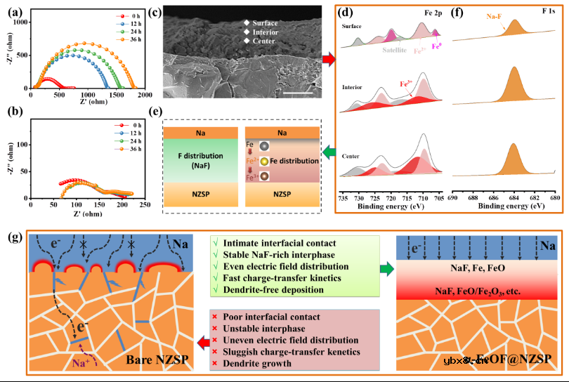 具有Fe价梯度的自氟化界面助力无枝晶固态钠金属电池