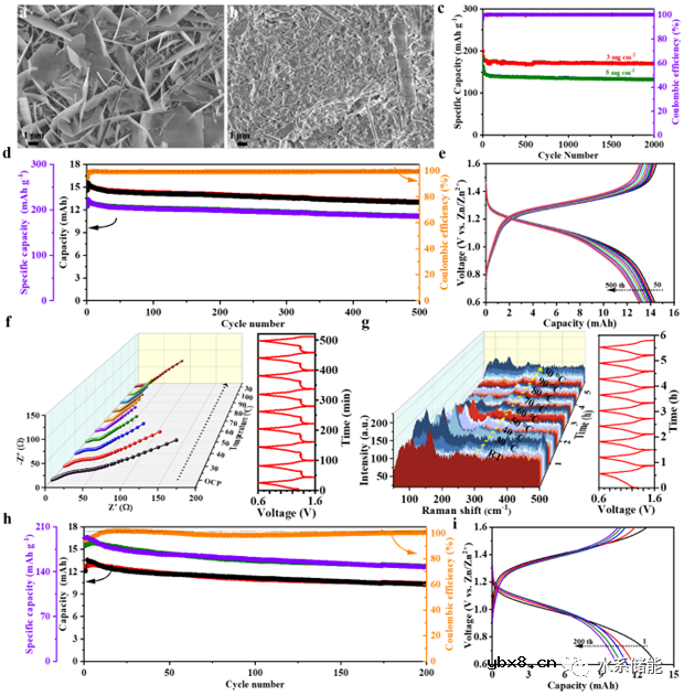 “吸附+催化”耦合助力高温水系锌-碘电池